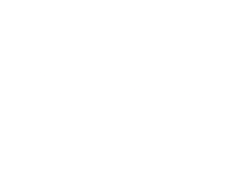 LeanIX LeanIX