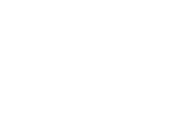 Morgan Stanley Morgan Stanley