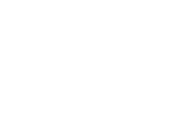 Duolingo Duolingo
